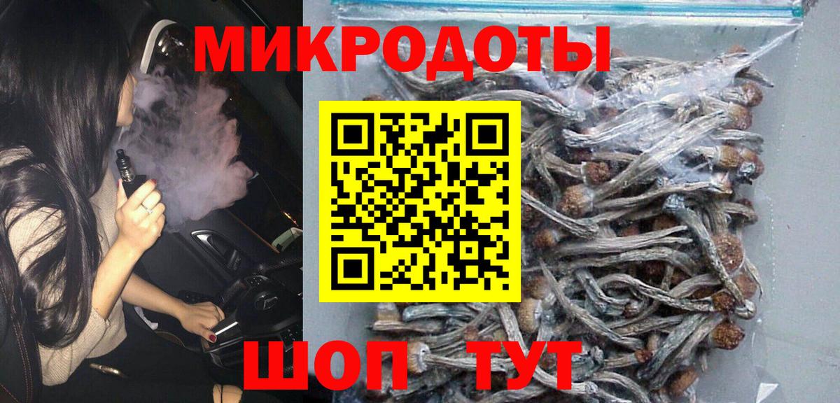 Галлюциногенные грибы Psilocybine cubensis Балтийск