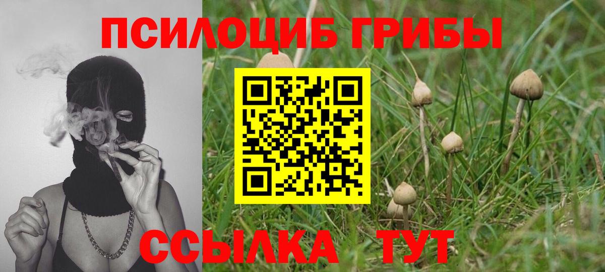 где продают   Вход с VPN  Балтийск  Галлюциногенные грибы Psilocybe 